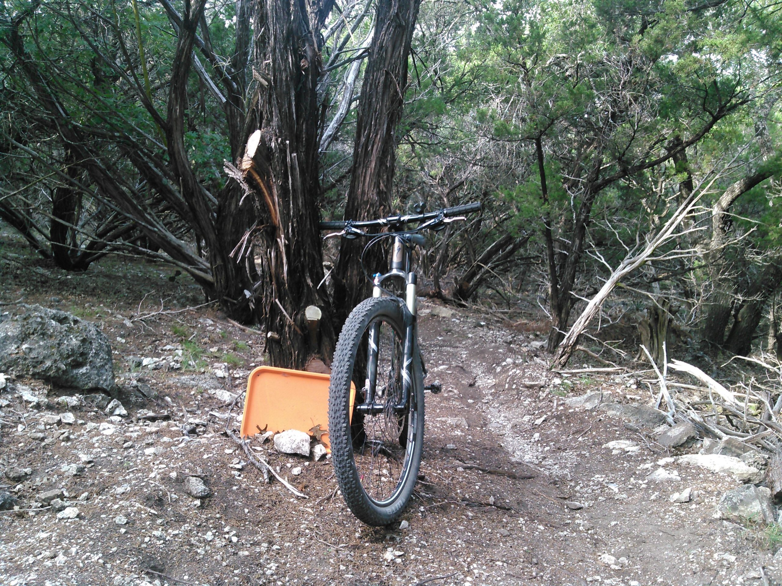 A mountain bike leaning against a tree on a dirt trail surrounded by dense greenery and rocky terrain. An orange object is partially visible on the ground nearby. Dana Peak mountain bike trail.