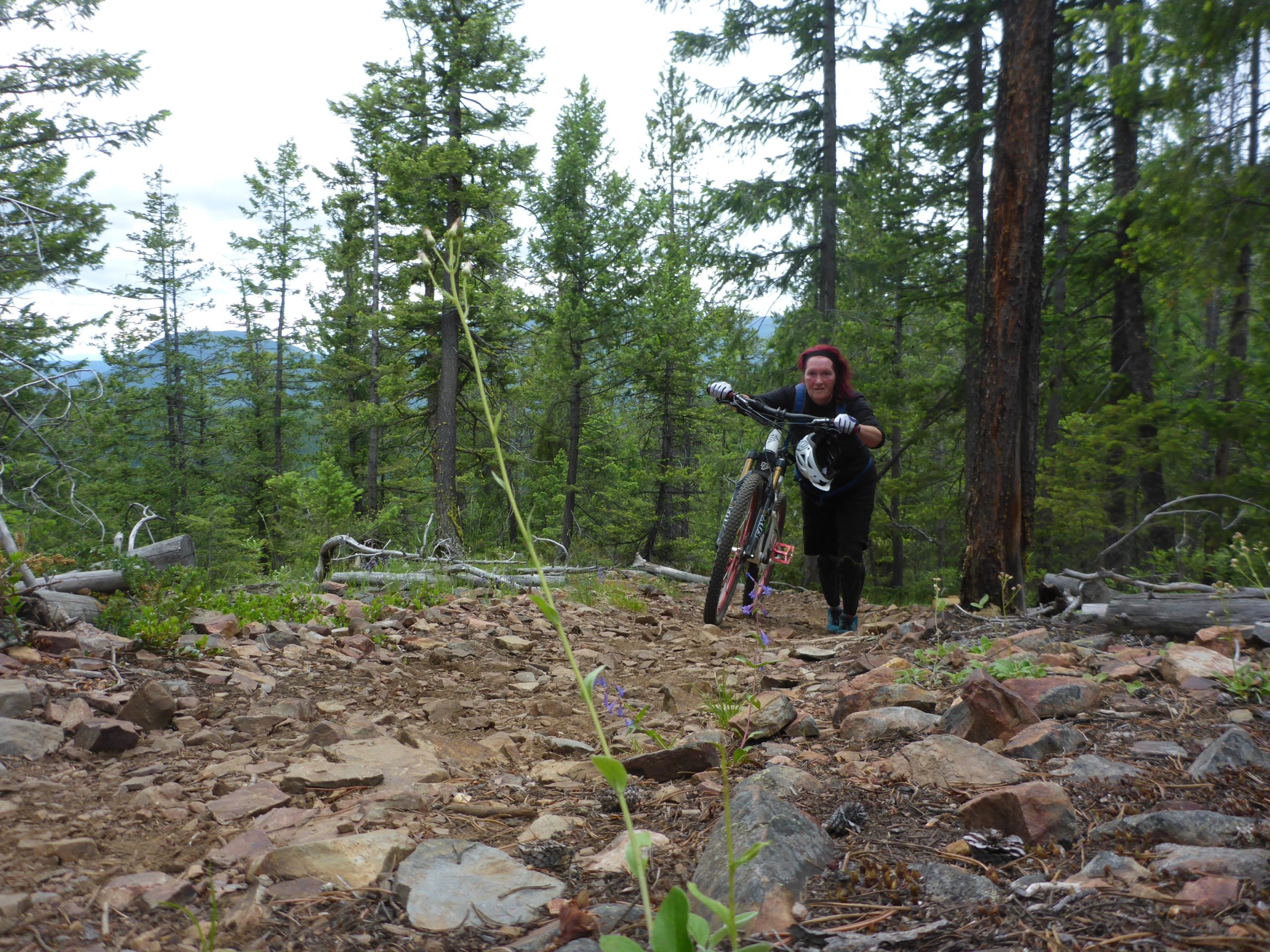 A person pushing a mountain bike up a rocky trail in a forested area, surrounded by tall pine trees and a cloudy sky. The individual is wearing protective gear and has a determined expression while navigating the uneven terrain. Magic Line mountain bike trail.