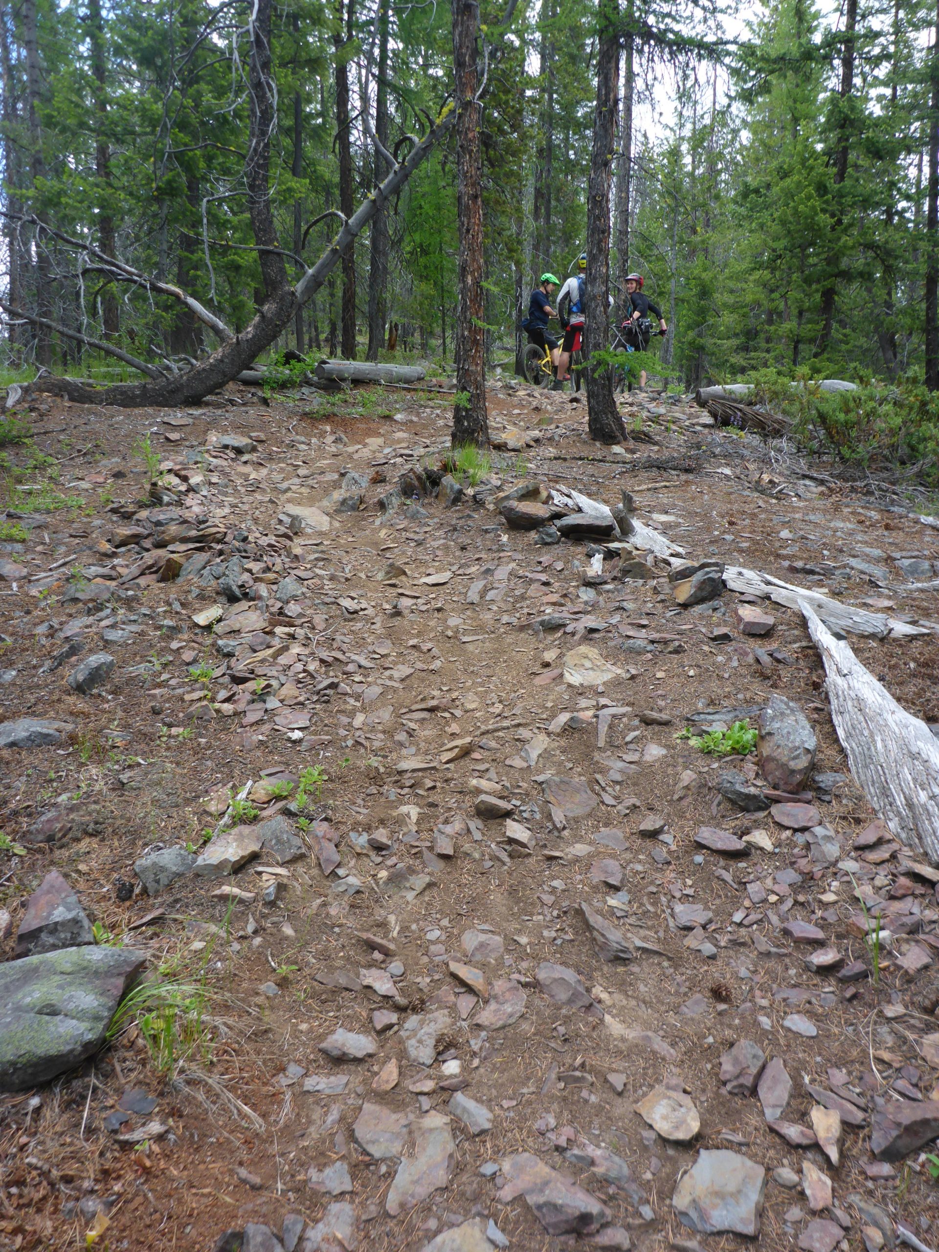 A rocky dirt path winding through a dense forest, with trees on either side and a few cyclists in the background. The terrain is uneven, with scattered stones and patches of greenery. Magic Line mountain bike trail.