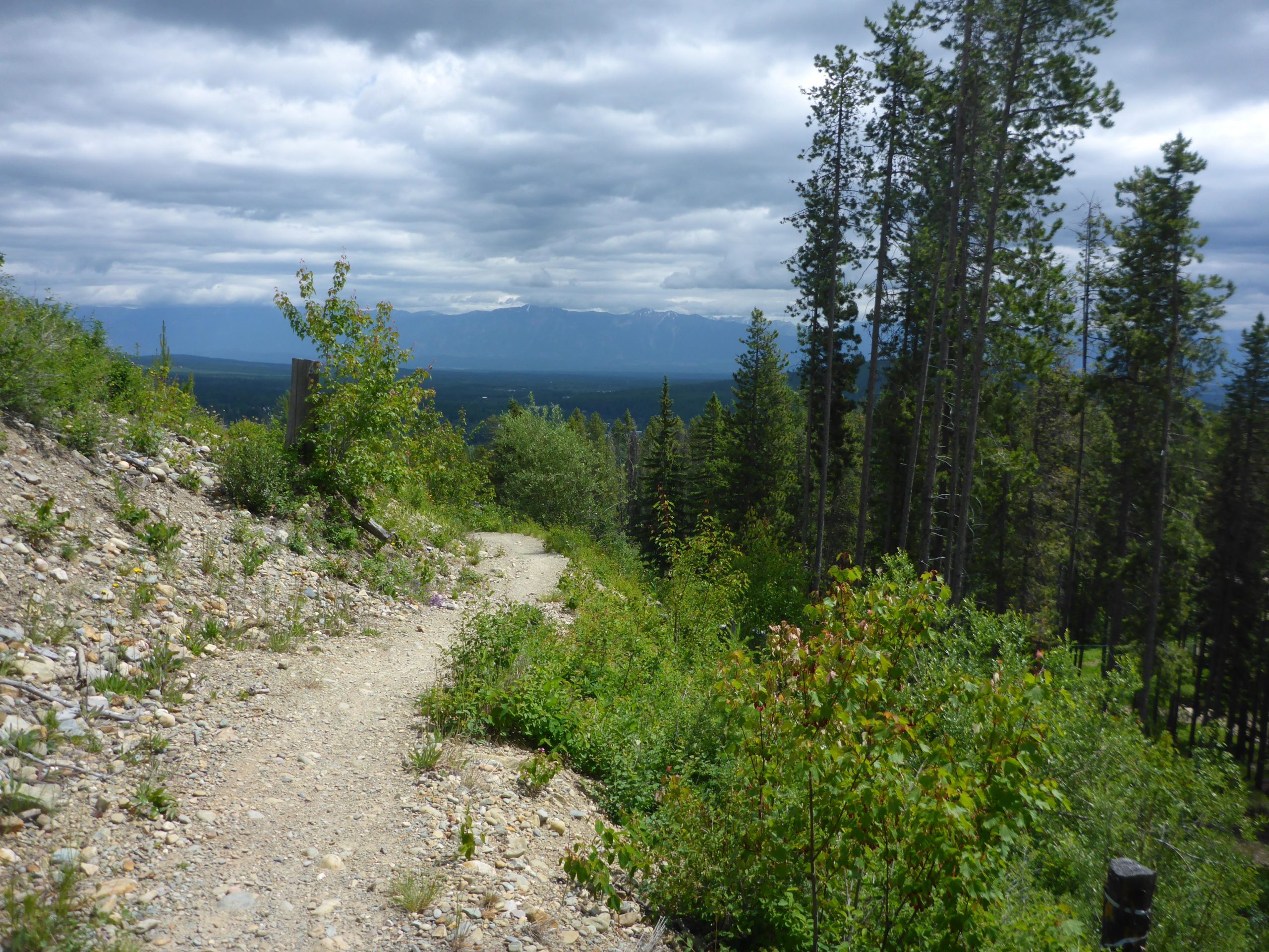 A winding dirt path leads through lush greenery and sparse trees, descending toward a valley with distant mountains under a cloudy sky. Magic Line mountain bike trail.