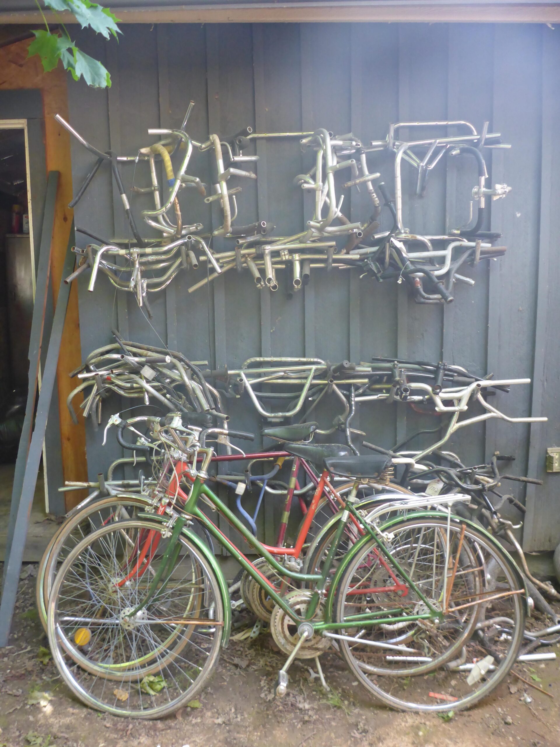 A collection of bicycle handlebars mounted on a wooden wall, with several vintage bicycles propped up in front. The handlebars are arranged in various orientations, creating a unique display. The bicycles have colorful frames, with one in green and another in red, and they rest on dirt ground surrounded by leaves.