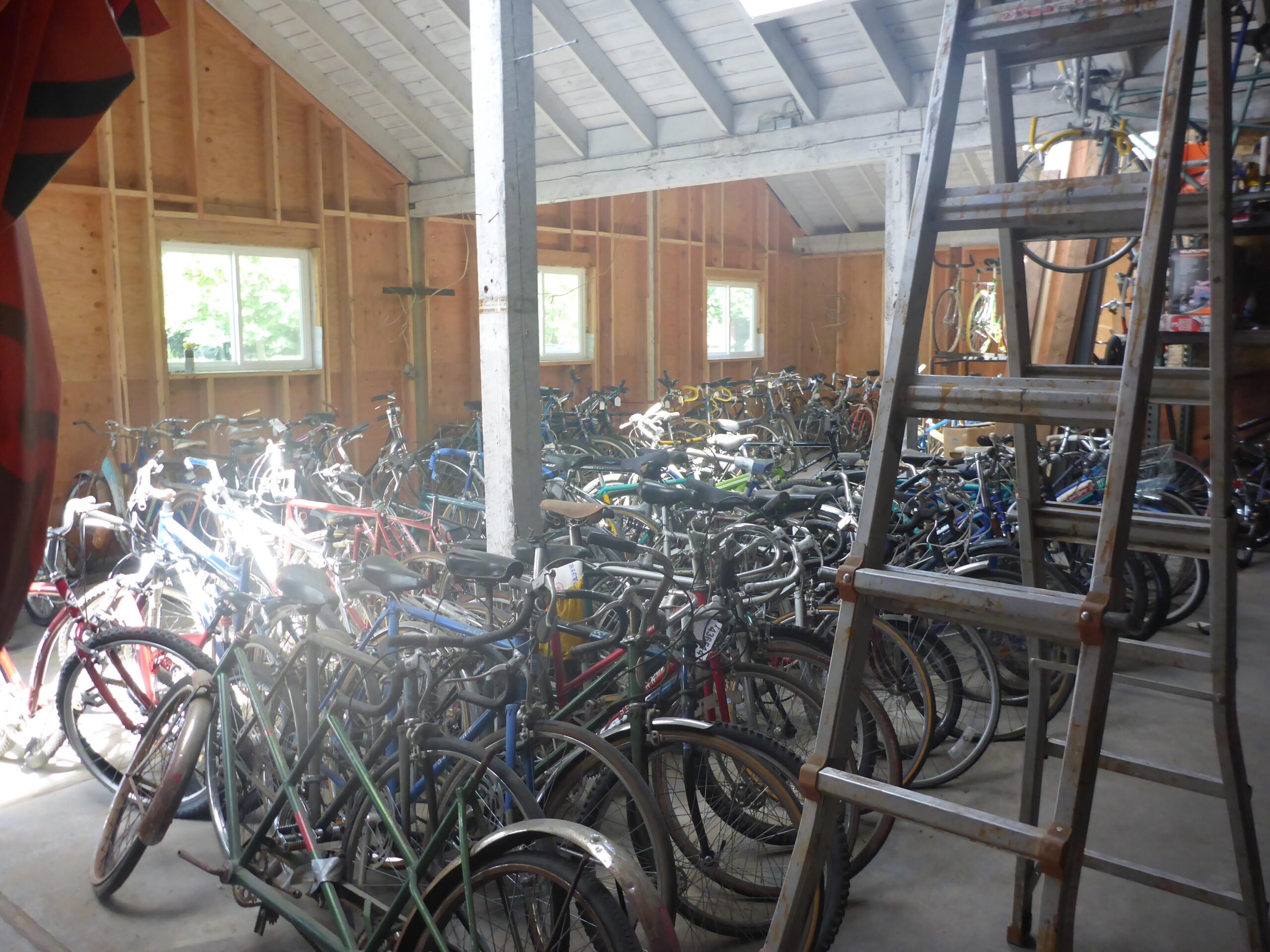 A cluttered indoor space filled with numerous bicycles of various colors and styles, arranged closely together. Sunlight streams in through windows, illuminating the bikes. In the foreground, a metal ladder leans against a post, and the wooden walls of the building are visible, adding to the rustic atmosphere.