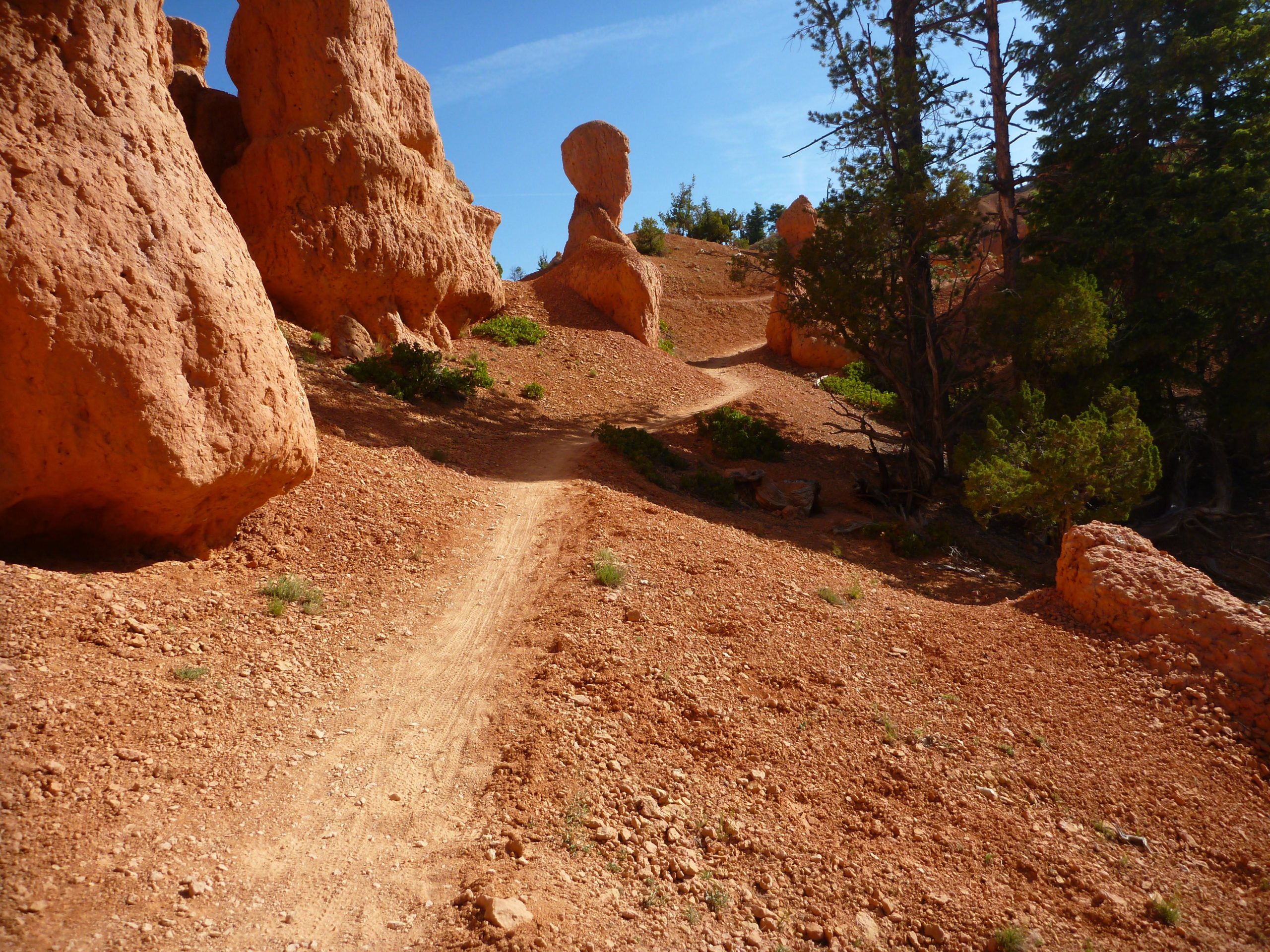 A dirt trail winding between unique, rock formations in a desert landscape, with orange and reddish rocks rising on either side. Sparse vegetation is present, including patches of greenery, against a backdrop of blue sky and scattered clouds. Thunder Mountain mountain bike trail.