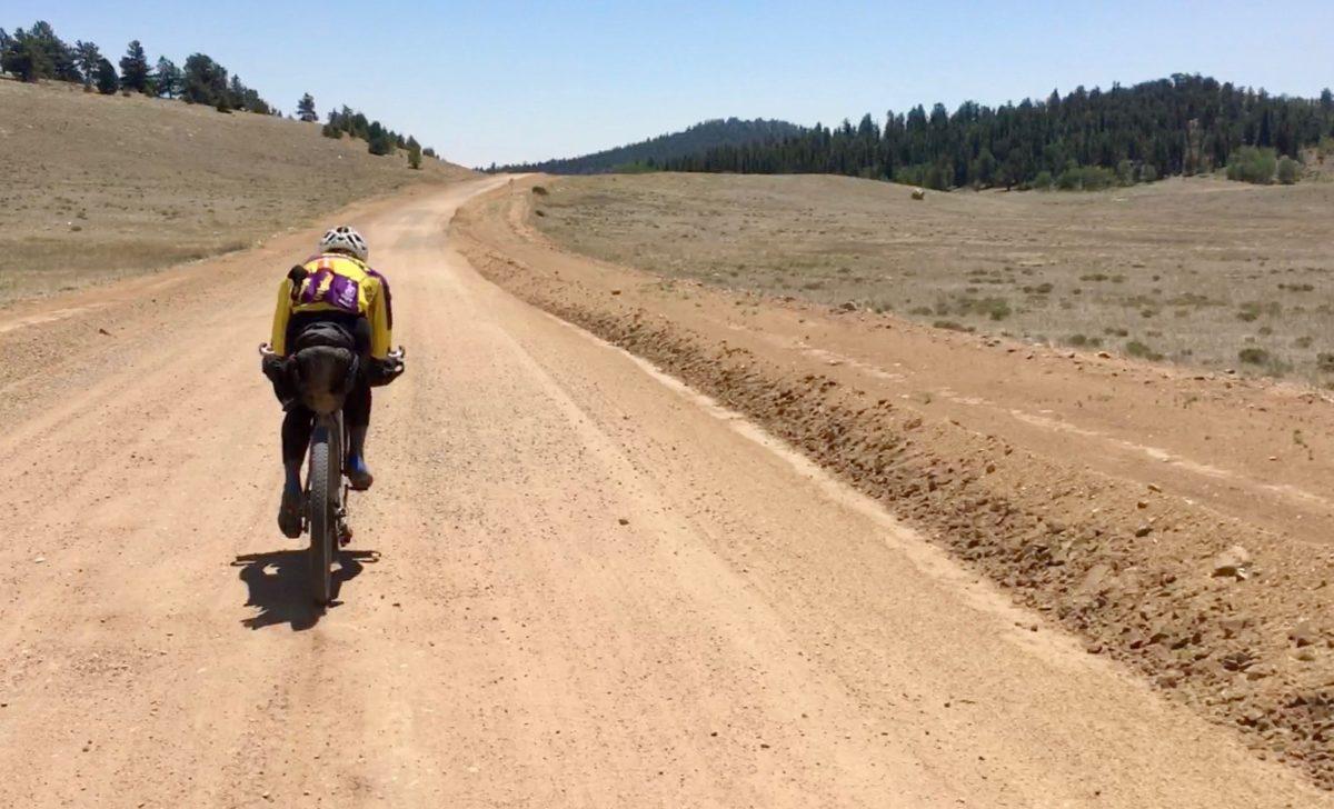 A cyclist riding on a dirt road surrounded by open land and trees in the background under a clear blue sky. Elkhorn Road / CR 15 mountain bike trail.