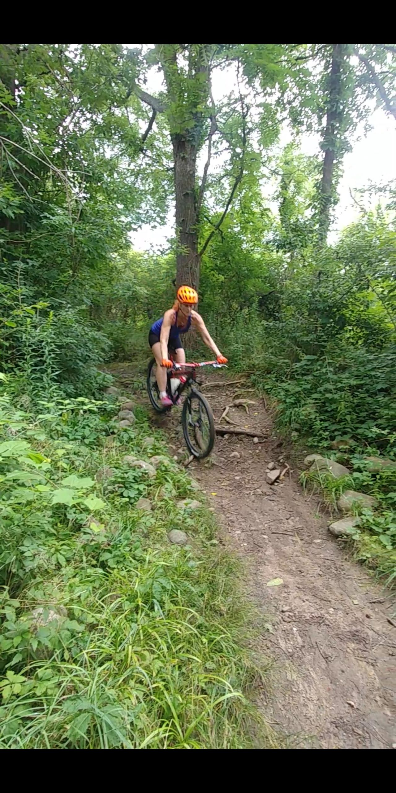 A person riding a mountain bike on a narrow, wooded trail surrounded by greenery. They are wearing a bright orange helmet and vibrant cycling gear, showcasing a dynamic posture as they navigate the uneven terrain with rocks and roots. The background features lush trees and shrubs, enhancing the outdoor nature of the scene. Olson Park mountain bike trail.