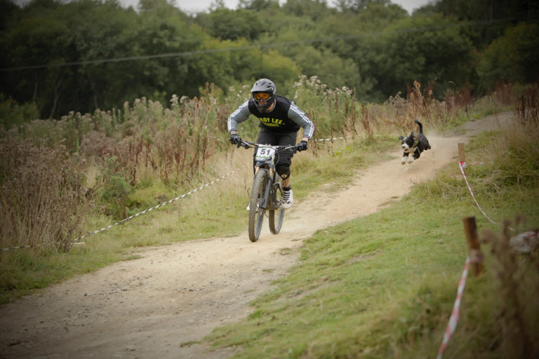 picking a mountain bike