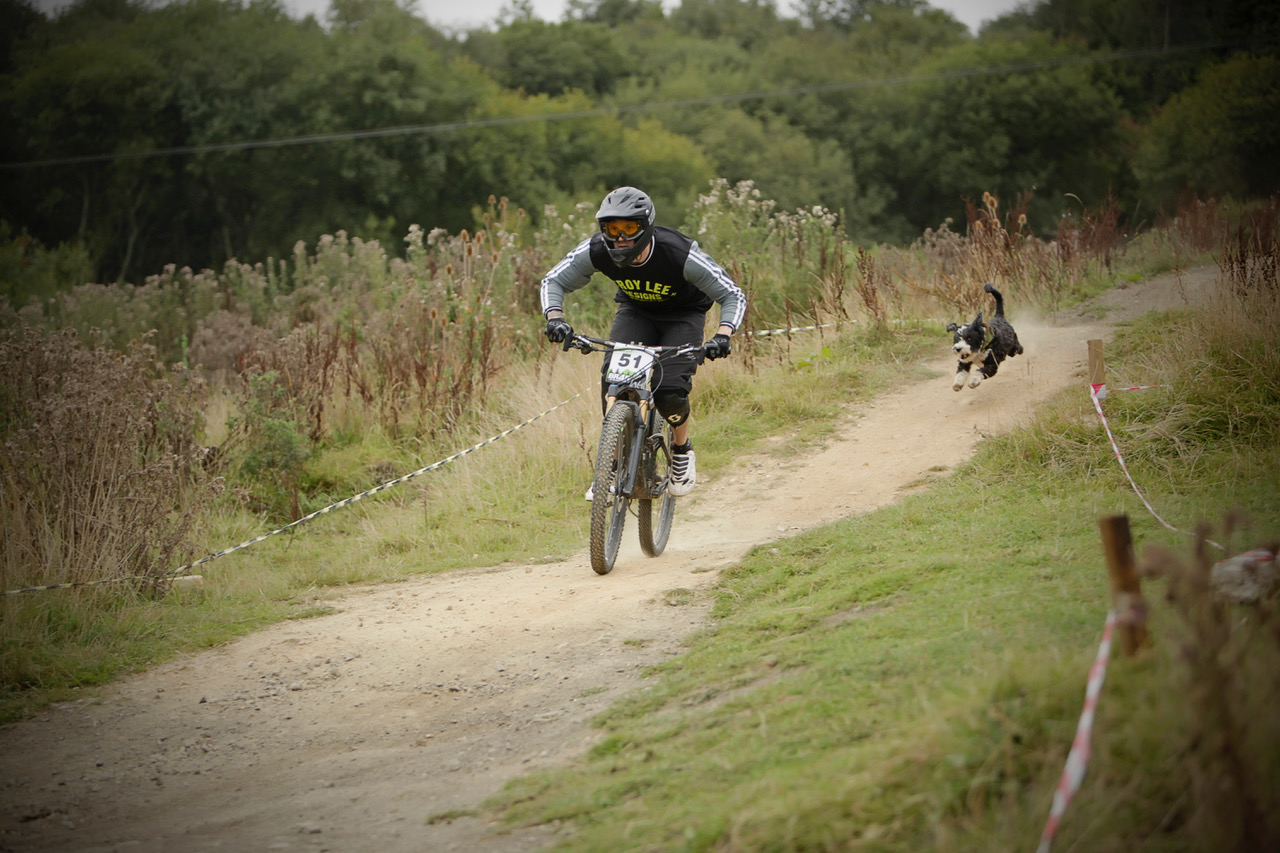 How To Pick Your Trail Dog Singletracks Mountain Bike News