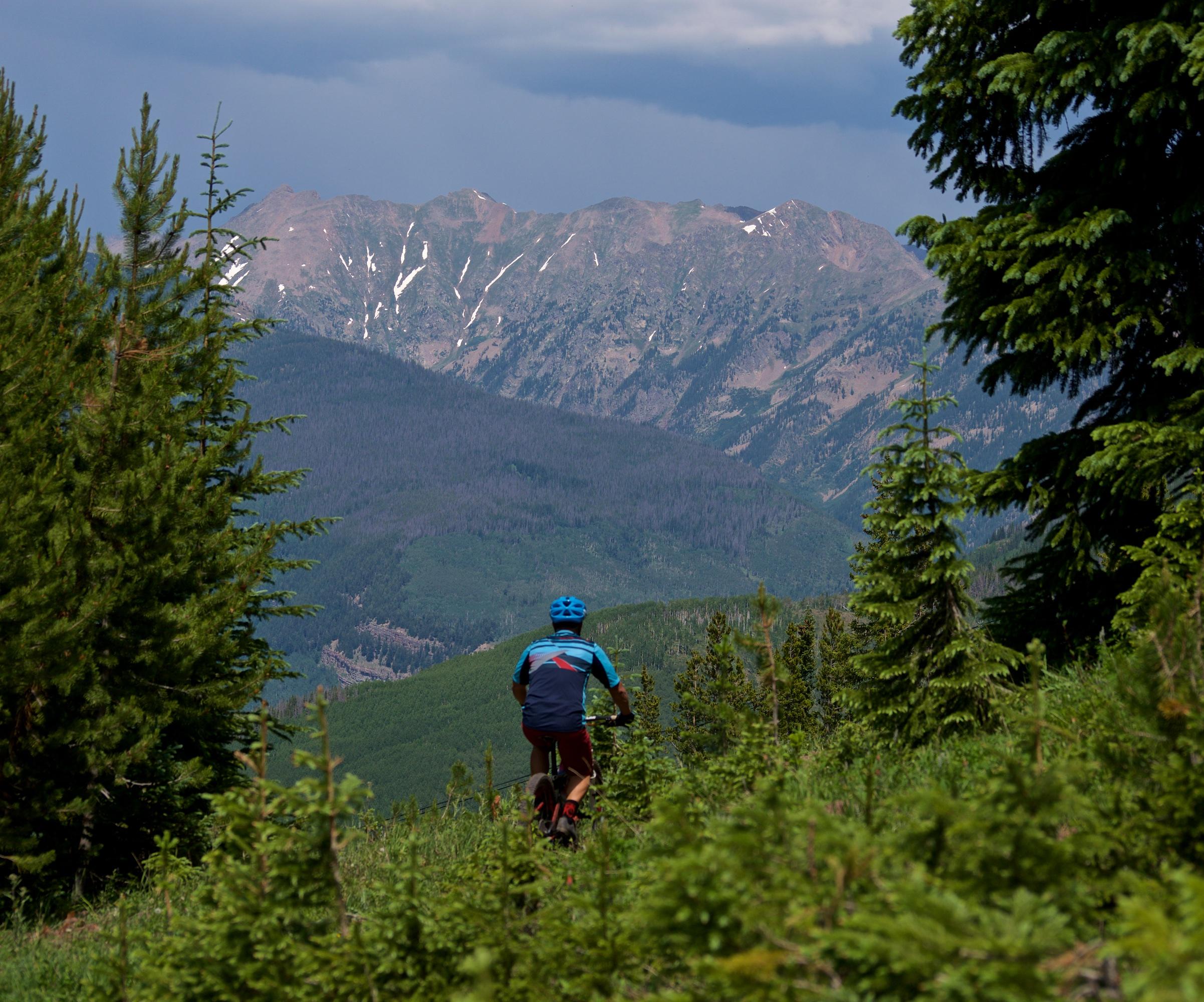 A mountain biker rides along a trail surrounded by lush greenery, with distant snow-capped mountains visible under a cloudy sky. The scene captures the beauty of nature and the thrill of outdoor adventure. Vail Mountain Bike Park mountain bike trail.