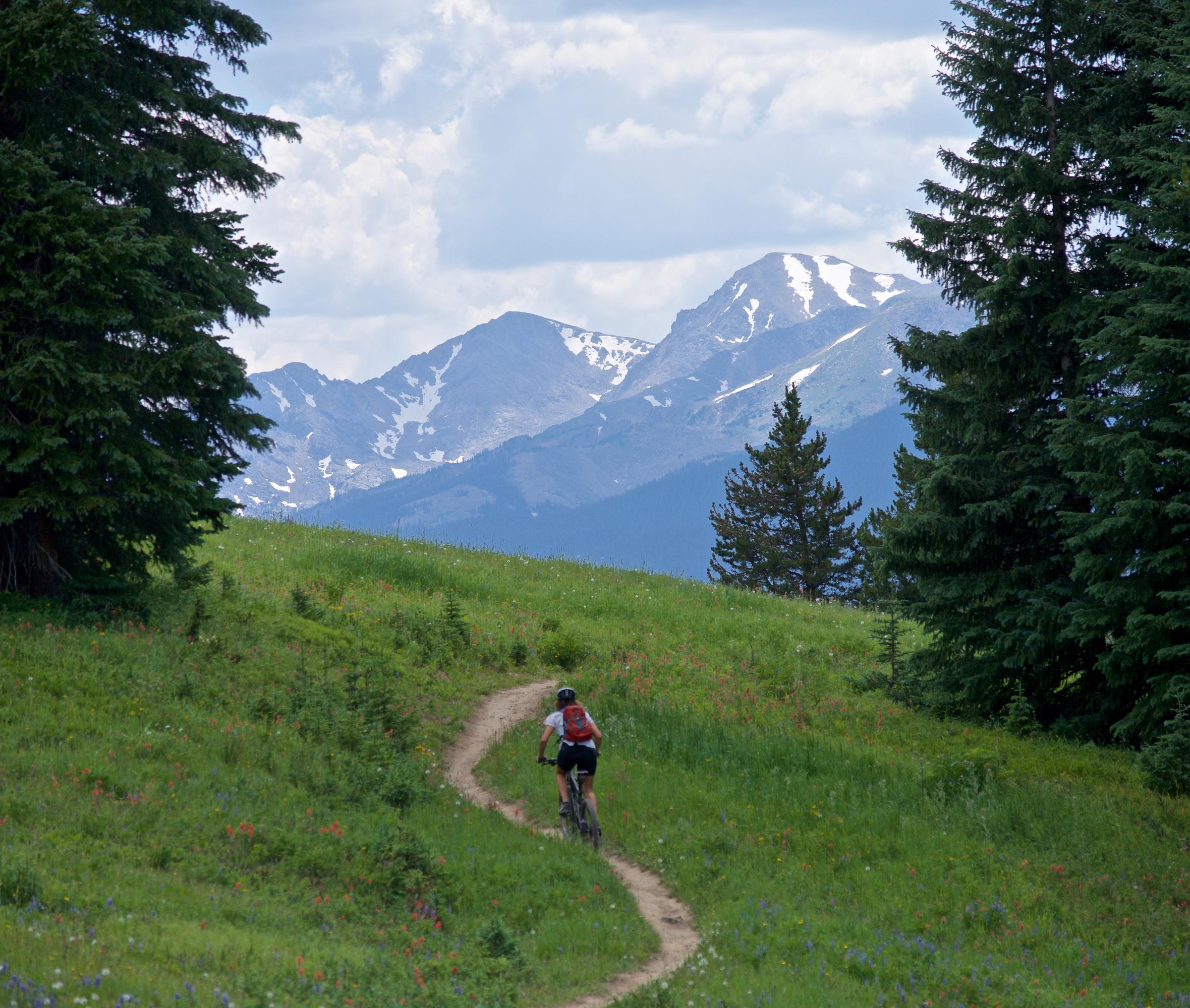 A mountain biker rides along a winding dirt trail through a lush green meadow, with snow-capped mountains in the background under a partly cloudy sky. Surrounded by wildflowers and coniferous trees, the scene captures the beauty of outdoor adventure and nature. Vail Mountain Bike Park mountain bike trail.