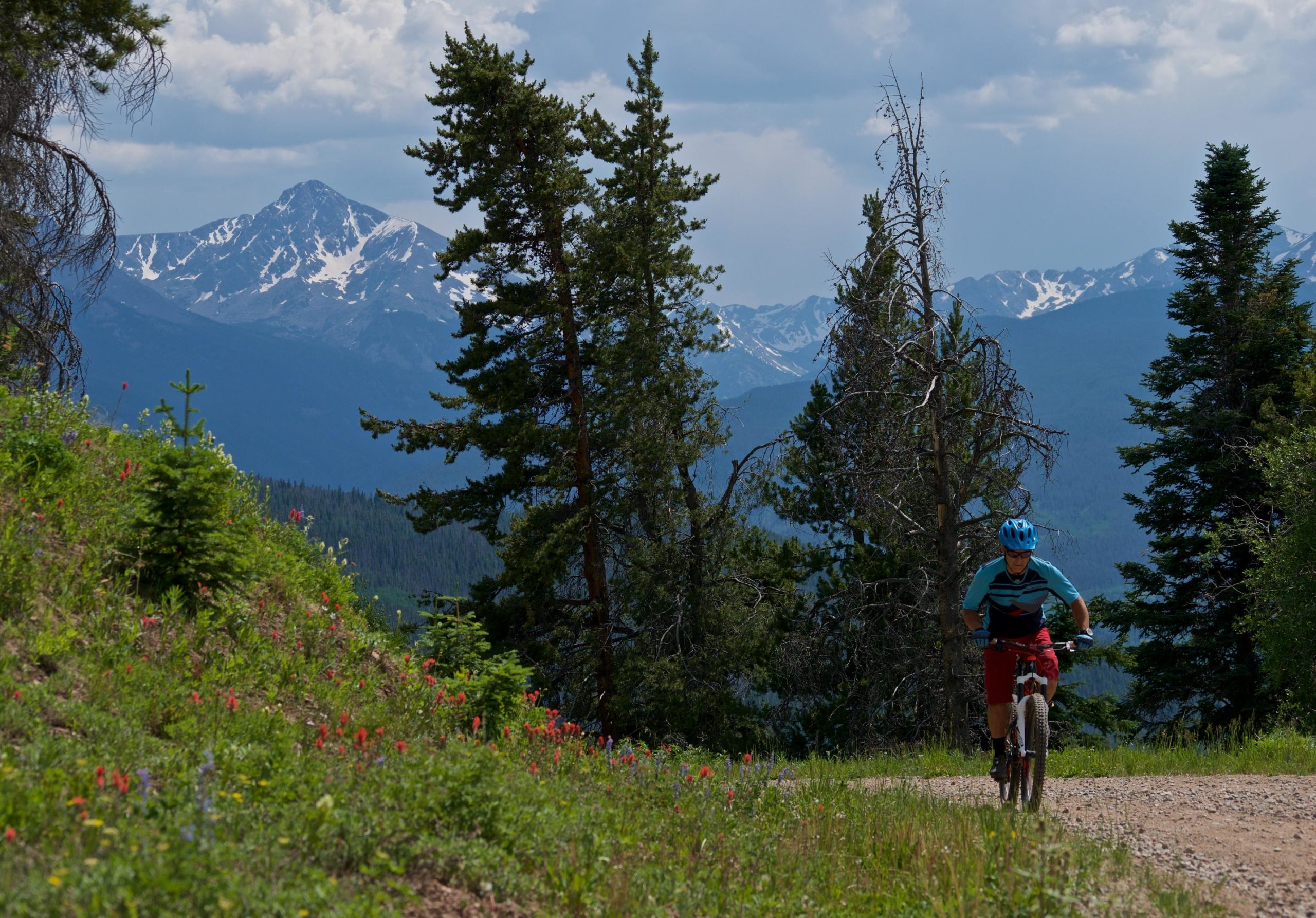 A mountain biker rides along a gravel path surrounded by lush greenery and colorful wildflowers, with snow-capped mountains visible in the background under a partly cloudy sky. Vail Mountain Bike Park mountain bike trail.