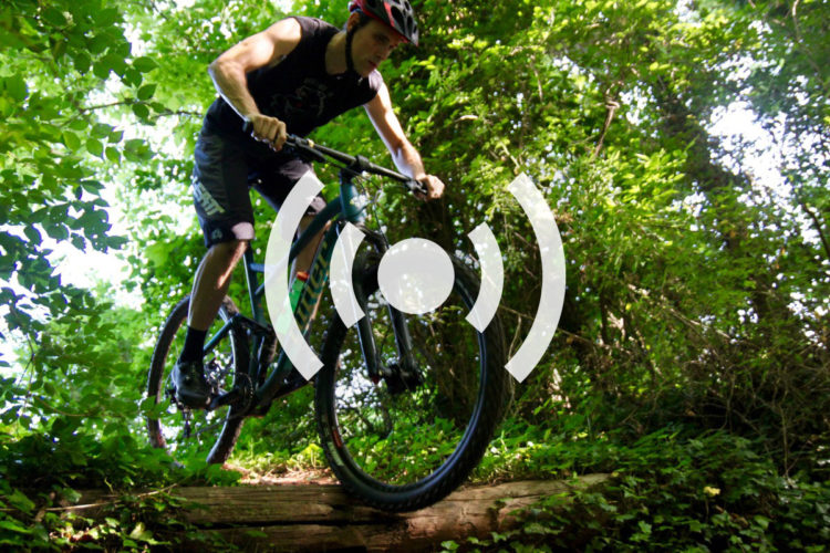 A mountain biker performing a jump over a log on a wooded trail, surrounded by lush green foliage.