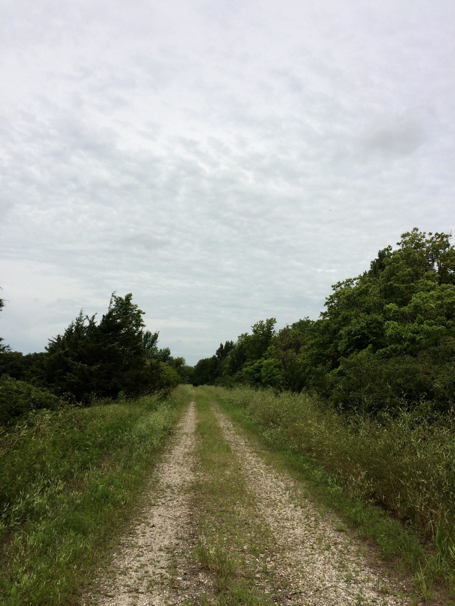 A gravel path leads through a grassy area, flanked by trees on either side, under a cloudy sky. Flint Hills Nature Trail (Rail Trail) mountain bike trail.