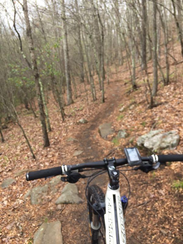 A mountain bike view on a dirt trail winding through a wooded area, with rocky sections and fallen leaves visible on the path. The handlebars and display of the bike are in the foreground, while the trees stretch up into the background, under a cloudy sky. Rockland Preserve mountain bike trail.