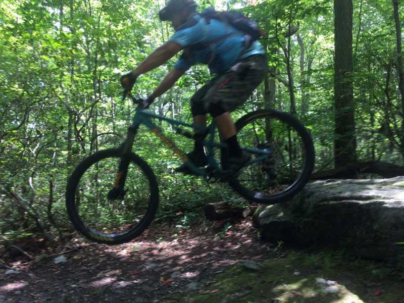 A person performing a jump on a mountain bike over a rock on a forested trail, surrounded by lush green trees. Frederick Watershed mountain bike trail.