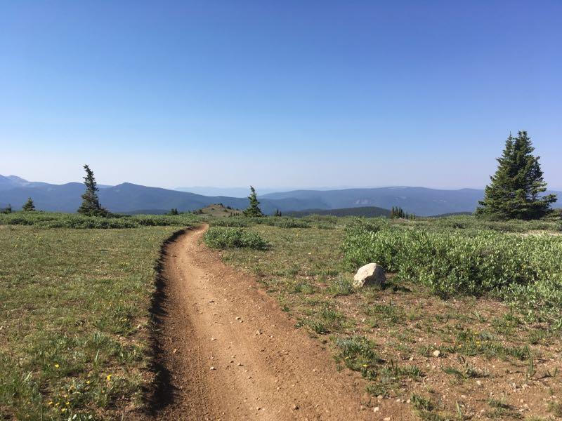 A winding dirt path leads through a grassy landscape, bordered by low vegetation and a few trees, with distant mountains and a clear blue sky in the background. Monarch Crest Trail mountain bike trail.
