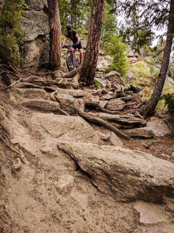 A mountain biker navigating a rocky and uneven trail surrounded by trees, with a focus on steep terrain covered in roots and stones. The scene captures the challenge of off-road biking in a natural setting. Walker Ranch mountain bike trail.
