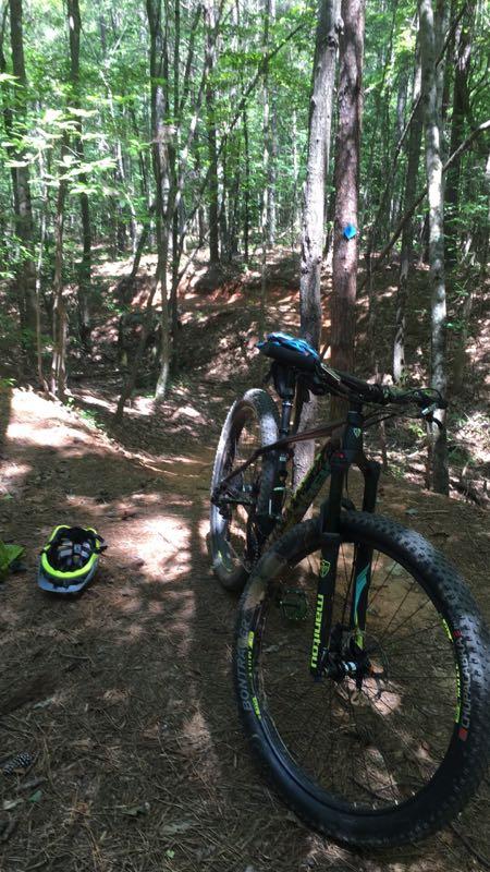 A mountain bike parked on a trail in a dense forest, with tall trees and dappled sunlight filtering through the leaves. A helmet is placed on the ground nearby, and a dirt path can be seen leading into the woods. Itusi @ Lake Norman State Park mountain bike trail.