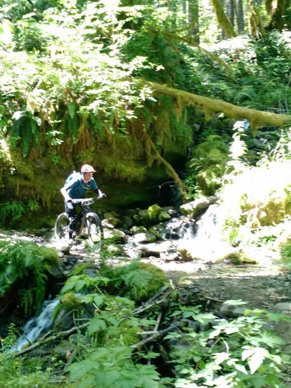 A mountain biker navigating a rocky trail alongside a small stream in a lush green forest. Sunlight filters through the trees, illuminating the vibrant foliage and creating a serene outdoor setting. Lewis River mountain bike trail.
