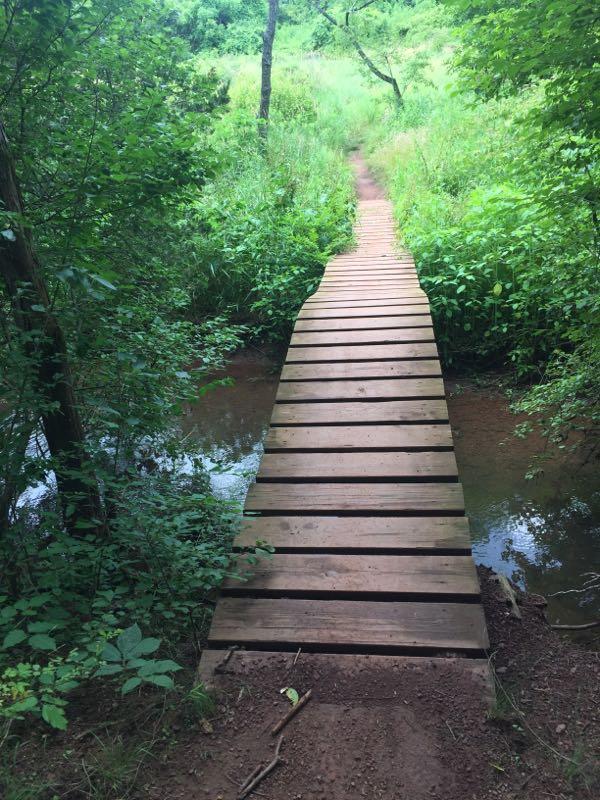 A wooden footbridge spanning a small stream, surrounded by lush green vegetation and trees along a nature trail. The path leading away from the bridge is visible, bordered by dense greenery. Six Mile Run mountain bike trail.