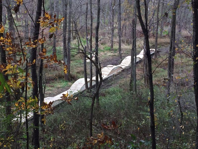 A winding wooden pathway meanders through a forested area, surrounded by tall trees and sparse foliage. The path features smooth curves and is set against a backdrop of muted autumn colors, with some leaves still clinging to the branches. The scene conveys a peaceful, natural setting. Outback Trail at Imagination Glenn mountain bike trail.
