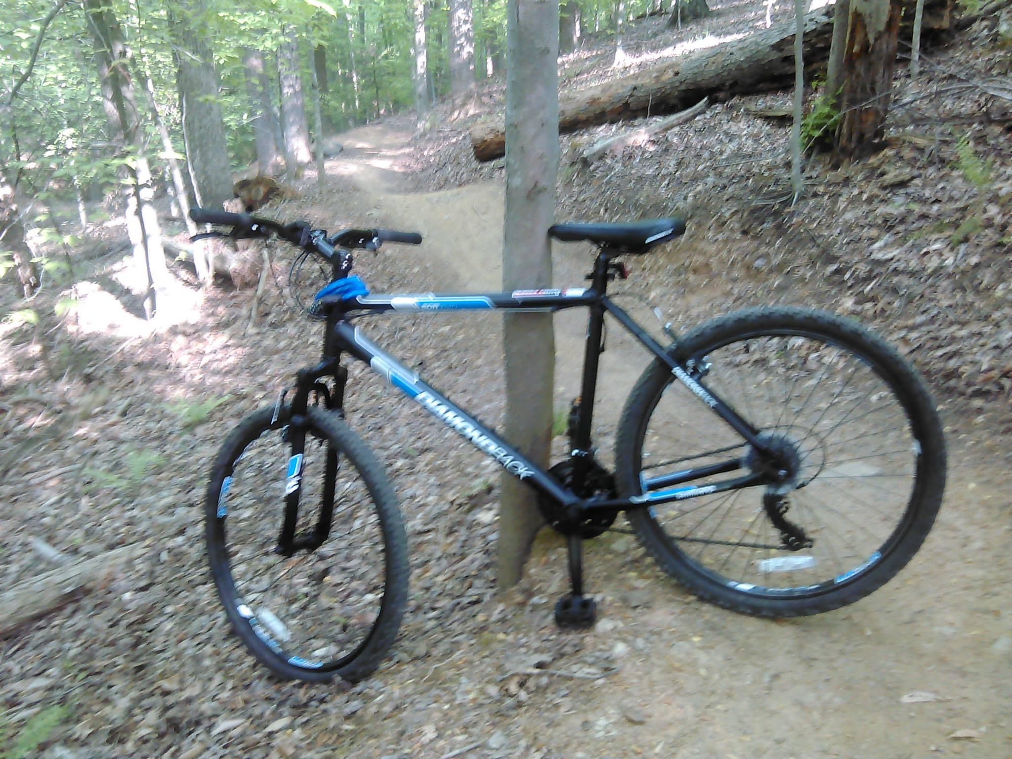 A black mountain bike with blue accents leaning against a tree on a wooded trail, surrounded by green foliage and brown leaves. The path is dirt and appears suitable for biking.