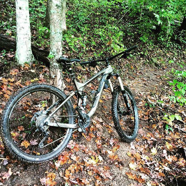 Mountain bike resting against a tree on a dirt trail covered in autumn leaves, surrounded by lush green vegetation. Turner Outdoor Center mountain bike trail.