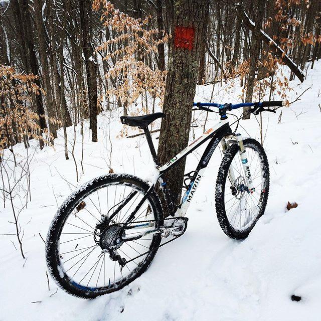 Mountain bike resting against a tree in a snowy forest with leafless trees in the background. A red trail marker is visible on the tree trunk, indicating a biking trail. Snow covers the ground and the bike's tires. Turner Outdoor Center mountain bike trail.