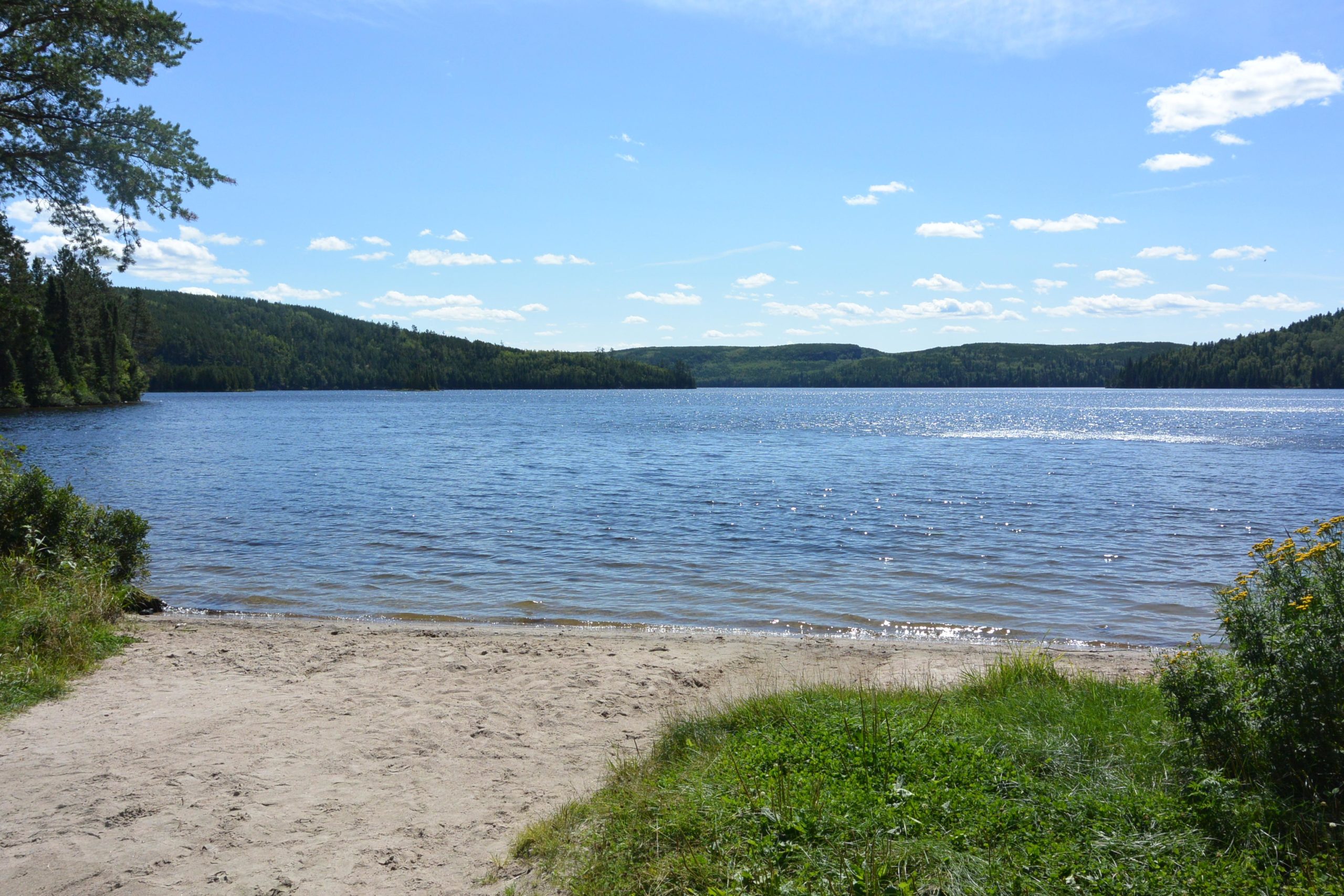 A serene lake view surrounded by lush green hills under a bright blue sky with fluffy white clouds. The foreground features a sandy beach with patches of grass and wildflowers, while the calm water reflects the sunlight, creating a peaceful and natural setting. Jet Lakes trail mountain bike trail.