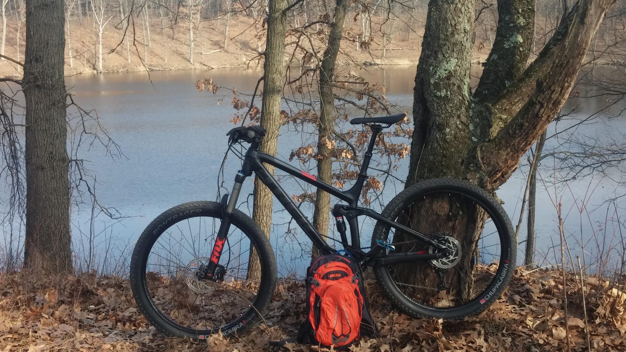 Trek Fuel EX 8: A mountain bike propped against a tree by a calm lake, surrounded by dried leaves. An orange backpack is placed on the ground beside the bike, with bare trees in the background under a clear sky.