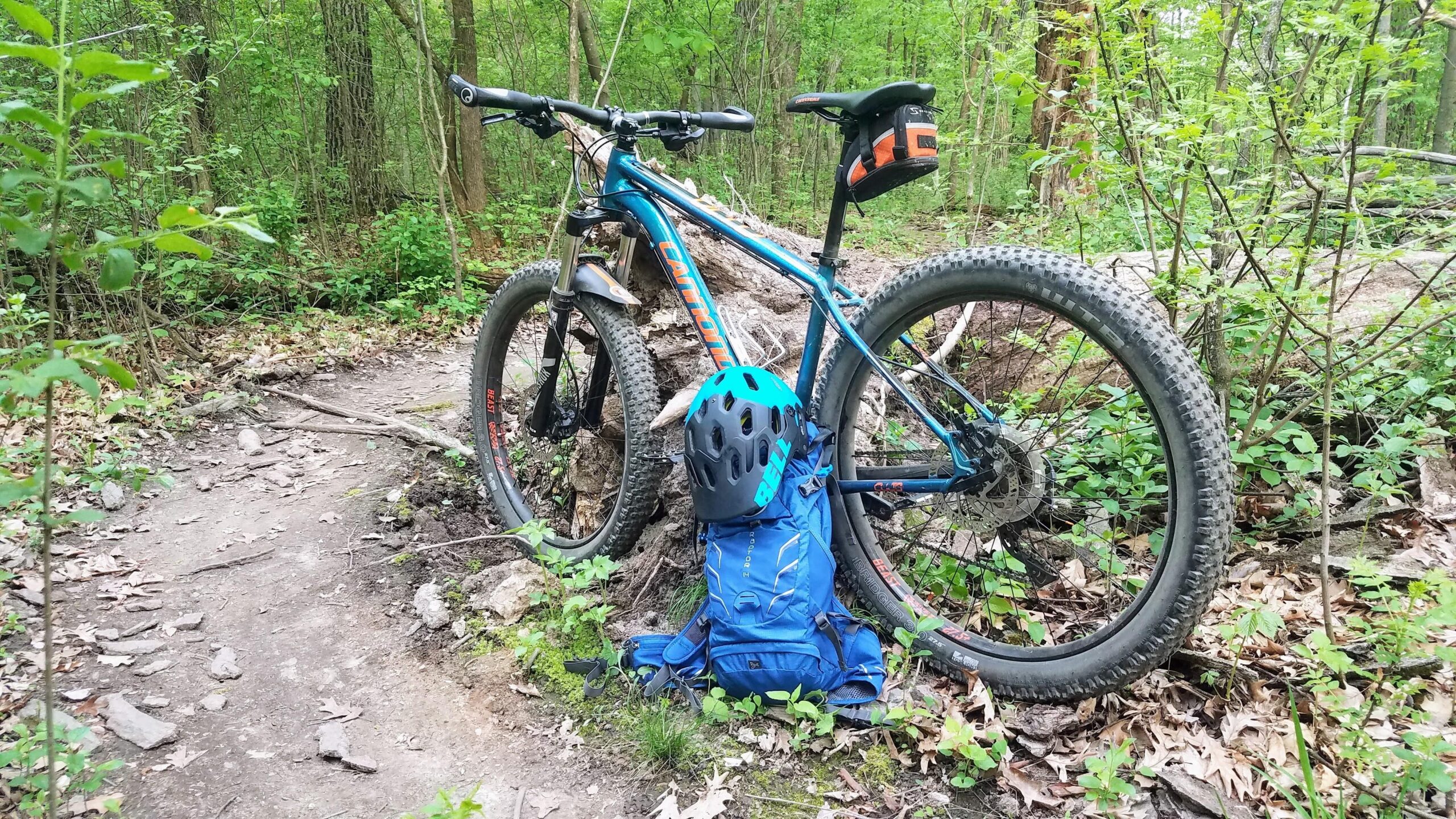 Cannondale Cujo 2: A mountain bike with thick tires rests against a fallen log on a dirt trail surrounded by lush green foliage. Beside the bike, a blue backpack lies on the ground, and a blue helmet is perched on top of it, indicating a pause in outdoor biking activity.