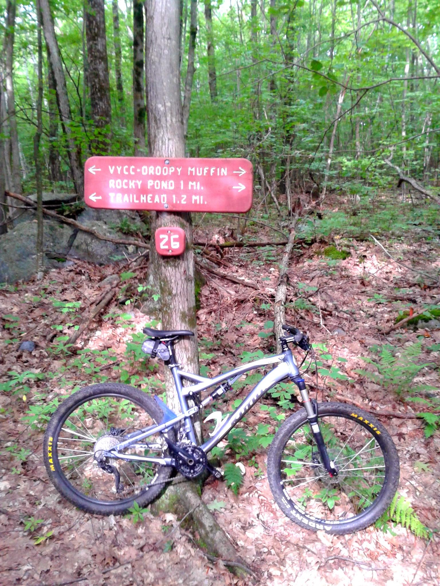 Mountain bike resting against a tree in a wooded area, with a trail sign indicating directions to various routes, including "Rocky Pond" and "Trailhead." The ground is covered in leaves and greenery, and a trail marker is visible alongside the sign. Pine Hill Park mountain bike trail.