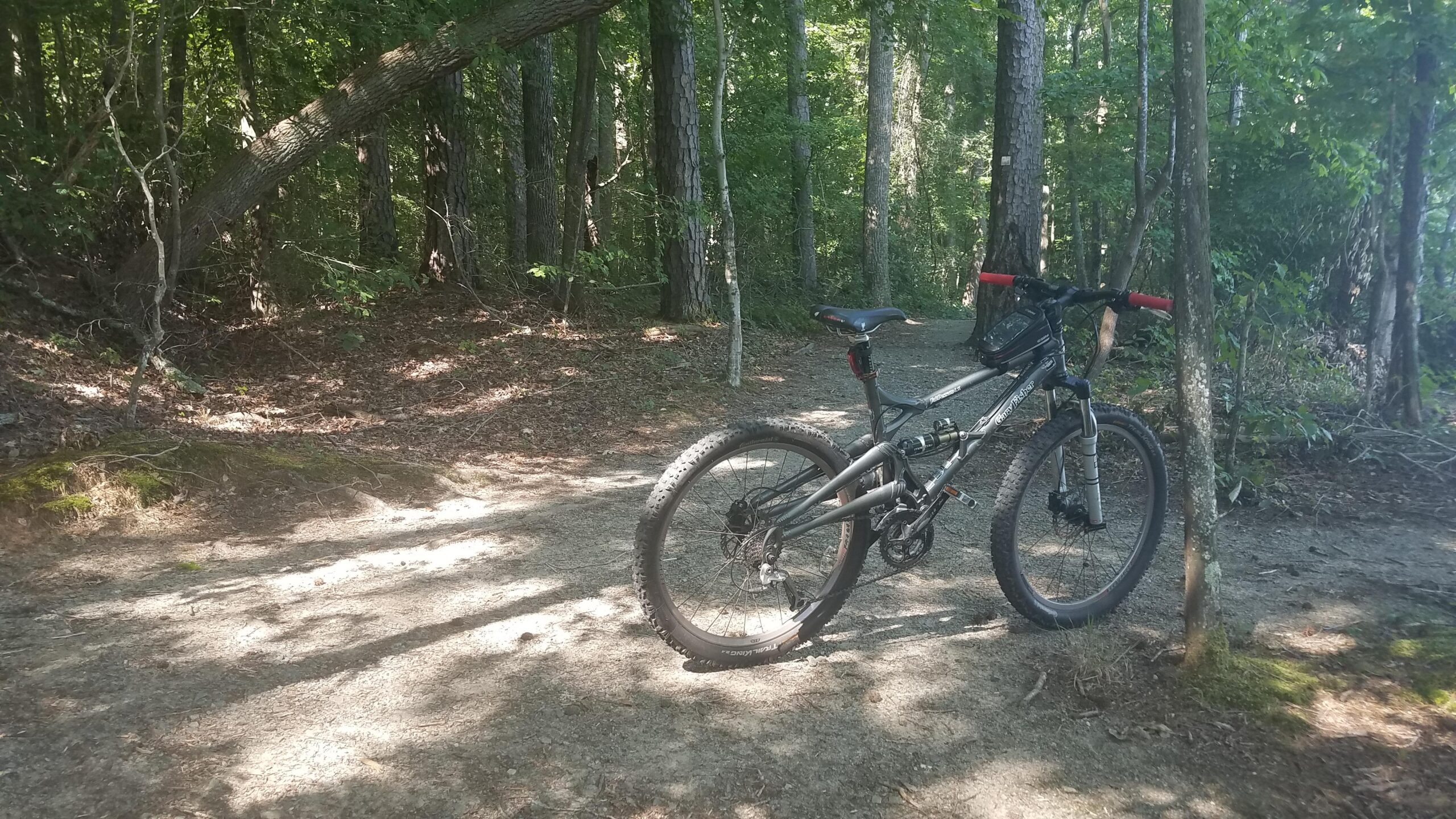 Gary Fisher Fat Possum XO: A mountain bike parked on a dirt trail surrounded by trees in a wooded area, with dappled sunlight filtering through the foliage.
