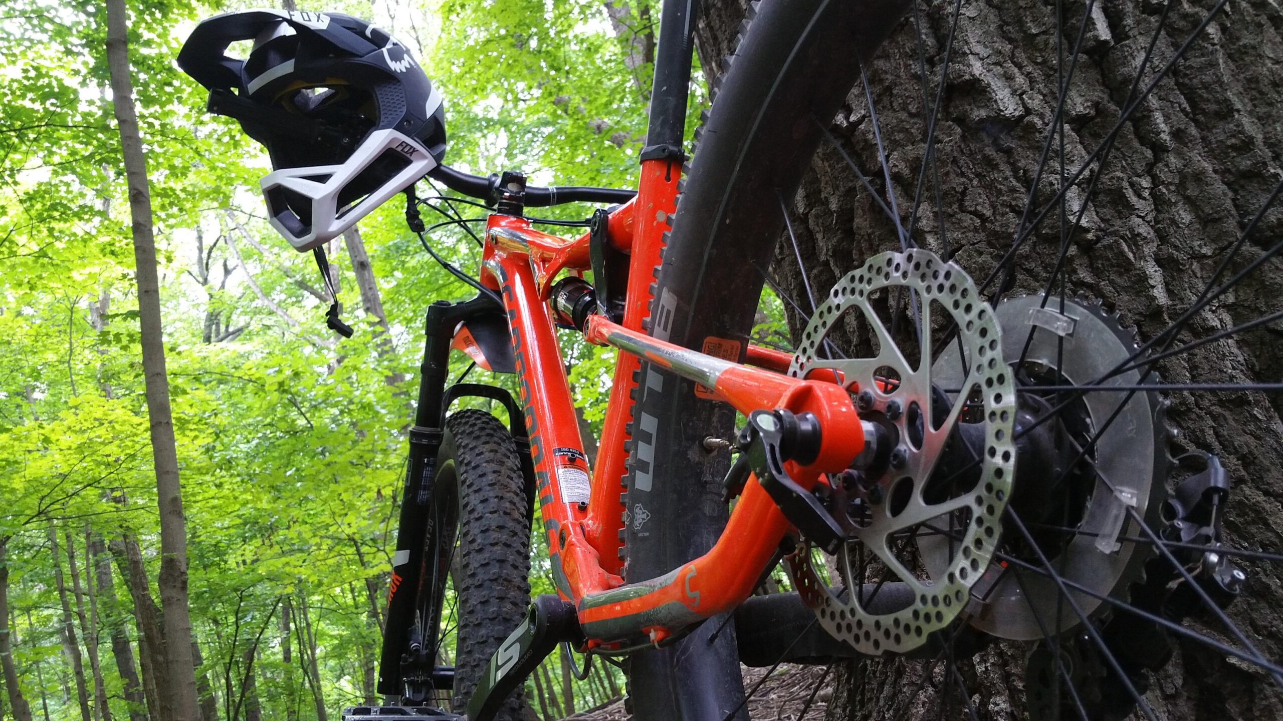 Cannondale Bad Habit: Alt text: A close-up view of an orange mountain bike leaning against a tree in a lush green forest, with a black and white helmet hanging from the handlebars. The bike features a prominent disc brake and rugged tires.