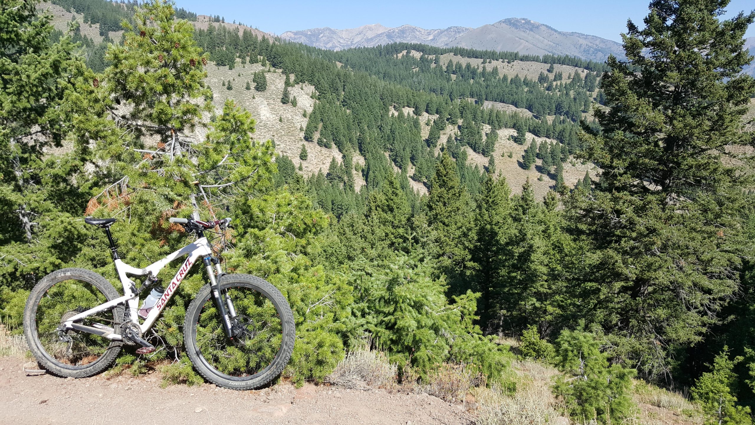 A mountain bike parked on a dirt trail surrounded by lush green trees, with a scenic view of mountains in the background under a clear blue sky. Chocolate Gulch / Trail #312 mountain bike trail.
