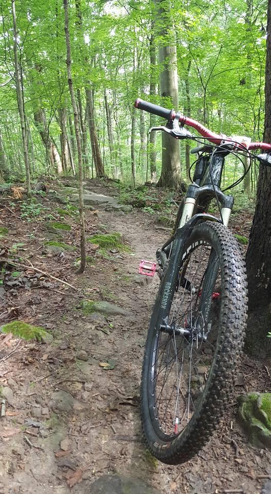 A mountain bike is positioned on a rocky trail in a lush green forest. The bike's front wheel is prominent, showcasing its textured tire, while the path winds through foliage and tall trees, creating a serene outdoor atmosphere. Mohican mountain bike trail.