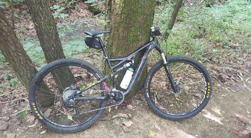 A black mountain bike leaning against a tree in a wooded area. The bike features thick tires, a water bottle attached to the frame, and is surrounded by greenery and fallen leaves. Vultures Knob mountain bike trail.