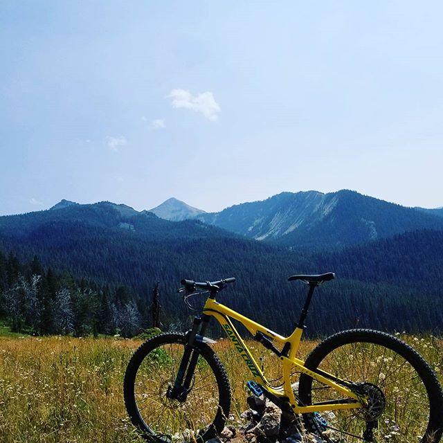 Santa Cruz Tallboy: A yellow mountain bike leaning against a rock, set against a backdrop of rolling mountains and a clear blue sky. The scene includes lush green grass and a dense forest in the foreground.
