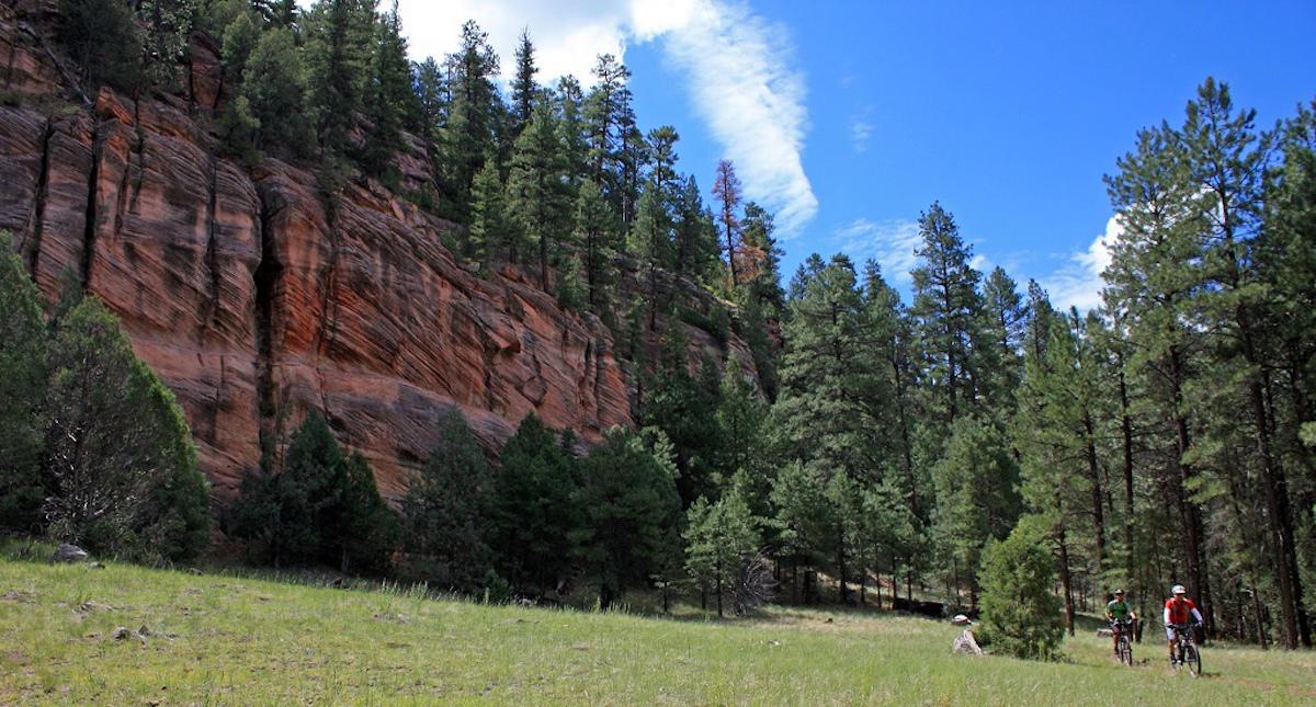 Two mountain bikers ride through a lush green landscape, surrounded by tall pine trees and a rocky cliff with distinct layers of red and orange rock. The sky is bright blue with a few scattered clouds, creating a picturesque outdoor scene. Arizona Trail Passage #31 Walnut Canyon mountain bike trail.