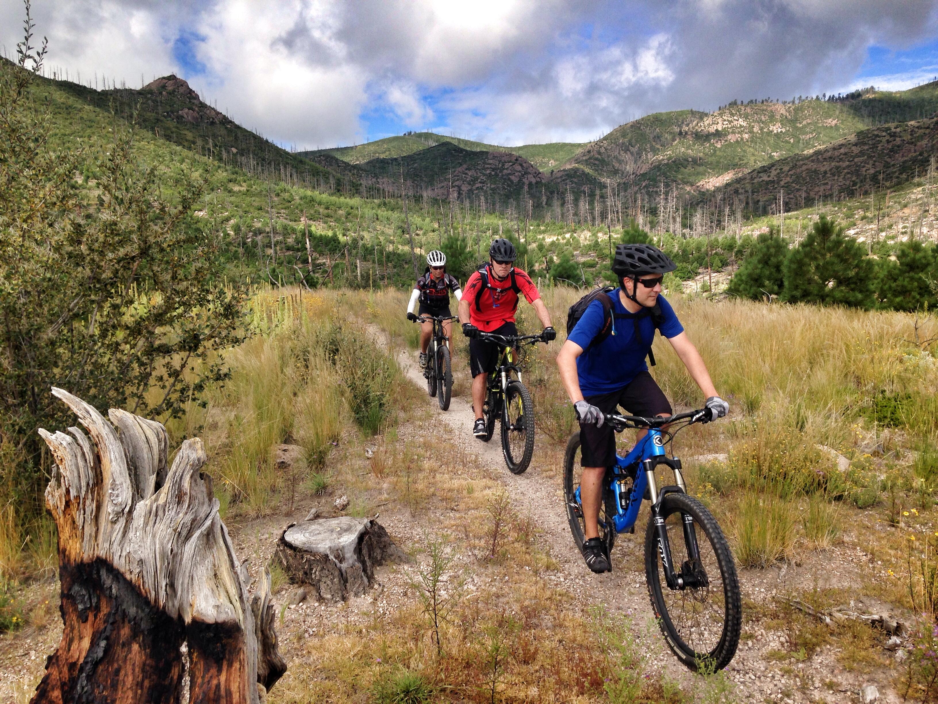 Best mountain bike trails in new mexico sale