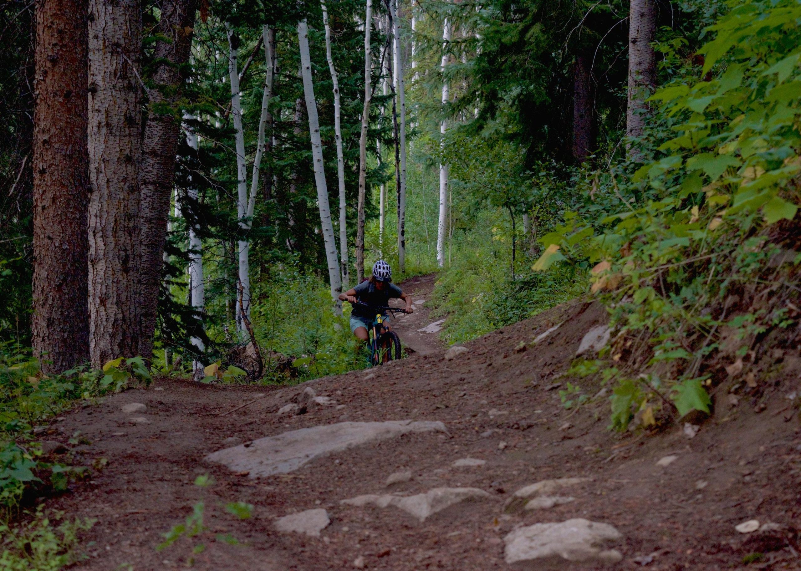 A mountain biker navigating a winding dirt trail surrounded by tall trees and greenery. The path is rocky and lined with plants, showcasing a natural, outdoor setting. Beaver Creek Ski Resort mountain bike trail.
