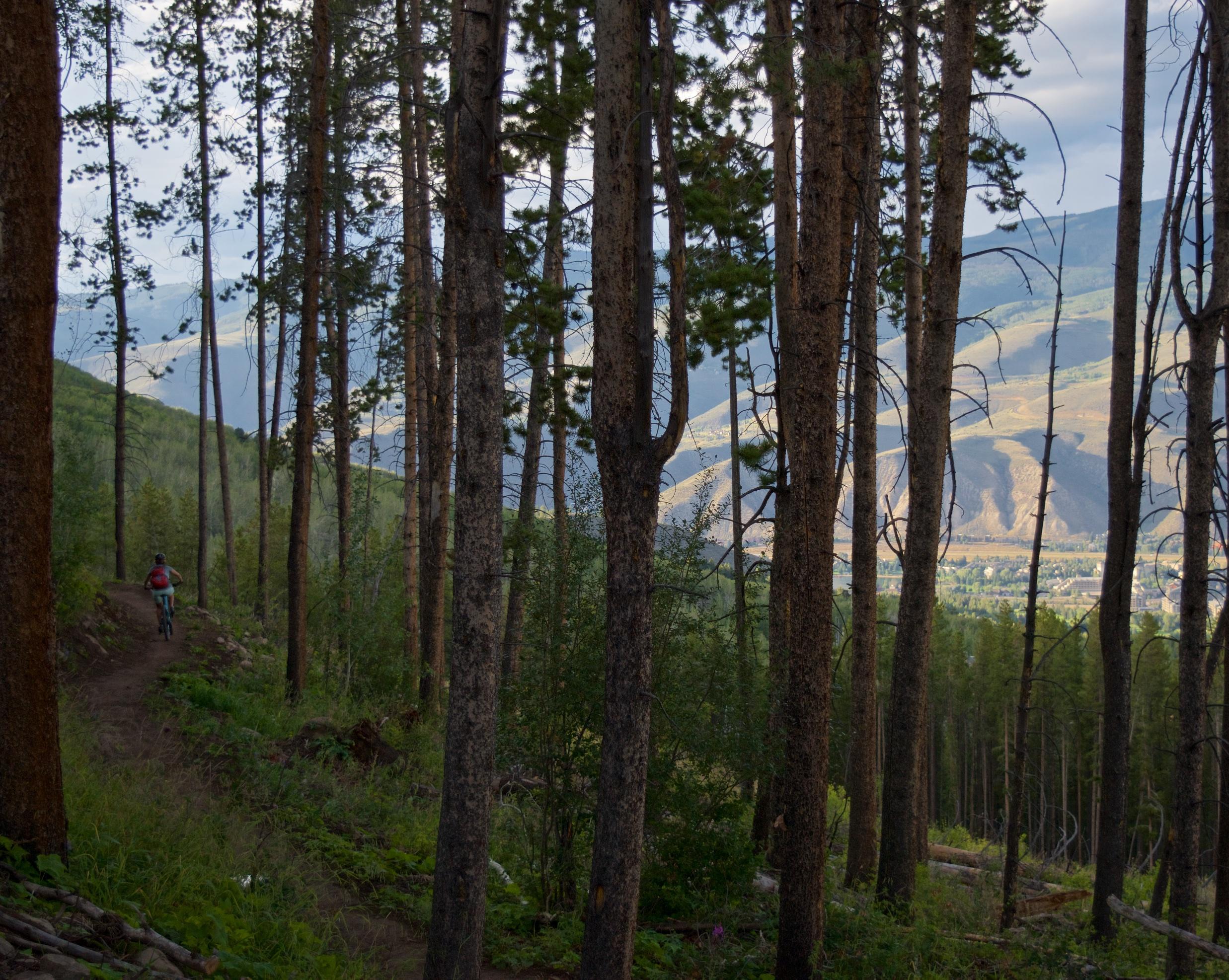 A mountain biker rides along a narrow dirt trail surrounded by tall pine trees in a forest. In the background, rolling hills and a valley are visible under a partly cloudy sky. Beaver Creek Ski Resort mountain bike trail.