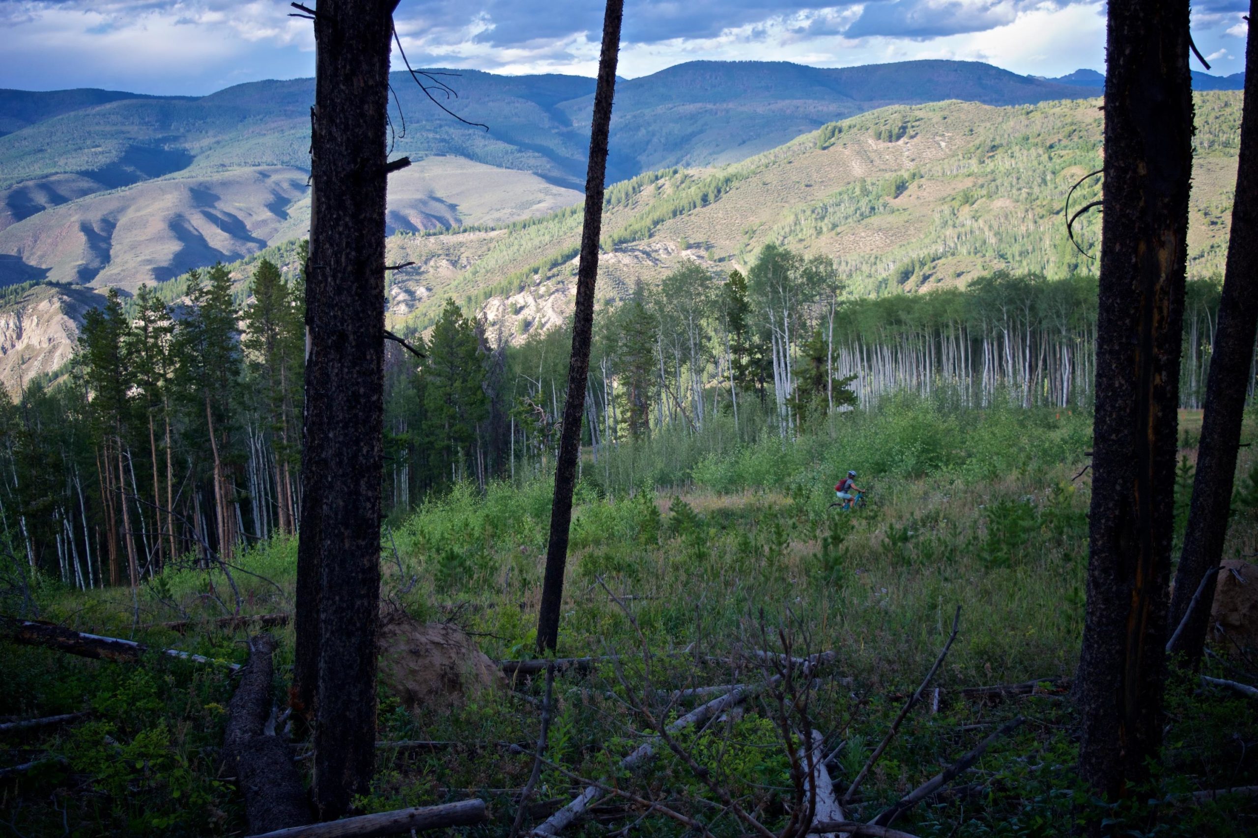 A mountainous landscape featuring lush greenery and trees, with a person in the distance biking through the terrain. The scene is framed by tall trees on either side, and rolling hills and mountains can be seen in the background under a partly cloudy sky. Beaver Creek Ski Resort mountain bike trail.