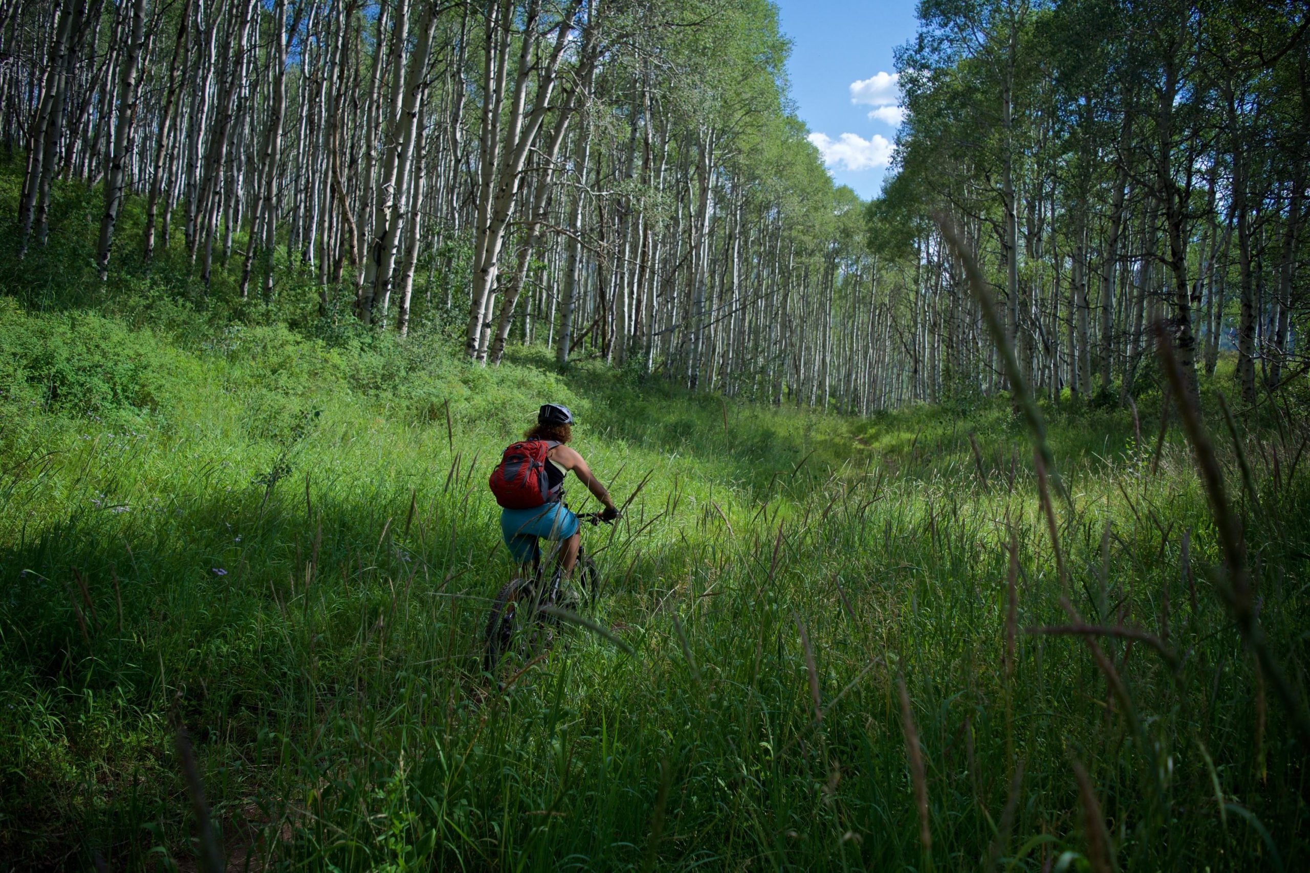 A cyclist riding a mountain bike on a grassy path surrounded by tall trees in a forested area, under a clear blue sky with some clouds. The scene conveys a sense of adventure and connection with nature. Beaver Creek Ski Resort mountain bike trail.