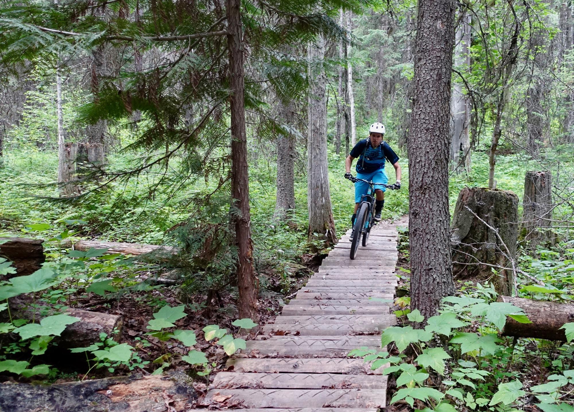 A mountain biker in blue gear rides along a wooden trail through a dense green forest, surrounded by tall trees and lush foliage. Ridgemont Trail System mountain bike trail.