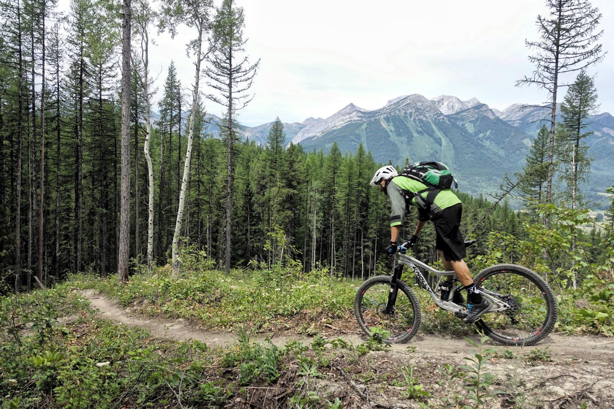 A mountain biker wearing a green shirt and black shorts rides along a dirt trail in a forested area, surrounded by tall trees and majestic mountains in the background. The landscape features lush greenery and a winding path, showcasing an outdoor adventure setting. Kushier mountain bike trail.