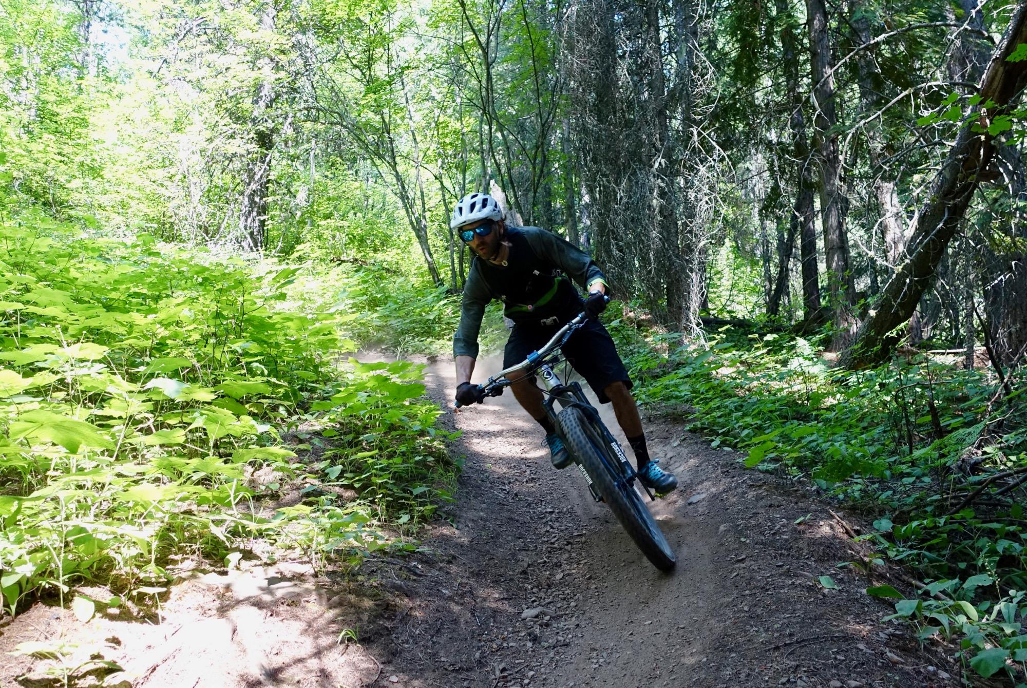 A mountain biker navigating a winding dirt trail surrounded by lush green foliage and trees on a sunny day. The rider is leaning into a turn, showcasing their skills while dust is kicked up from the trail. Swine Flu Loop mountain bike trail.