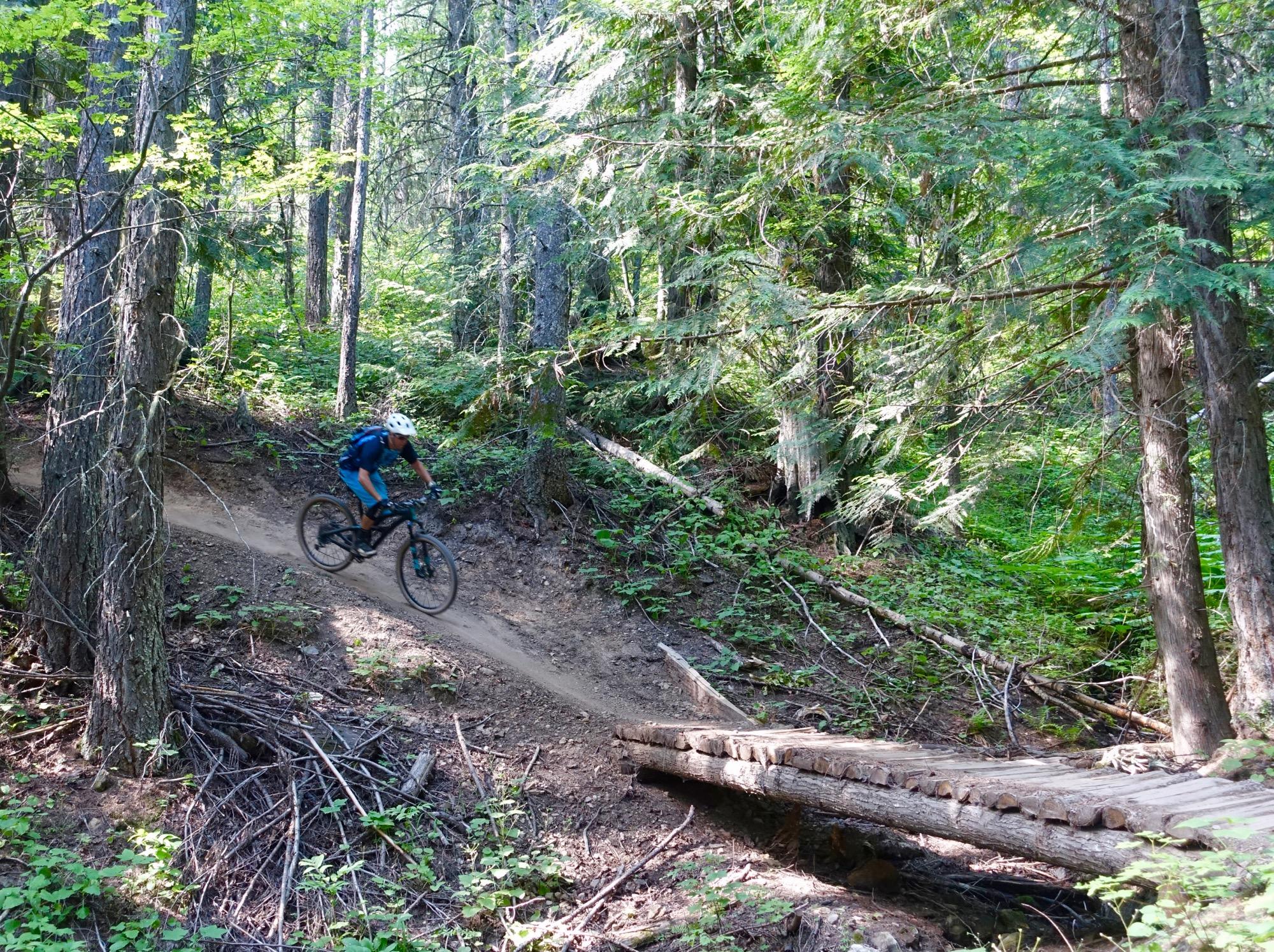 A mountain biker navigates a dirt trail through a lush forest, approaching a wooden bridge. Tall trees and green foliage surround the path, creating a vibrant outdoor setting. Swine Flu Loop mountain bike trail.