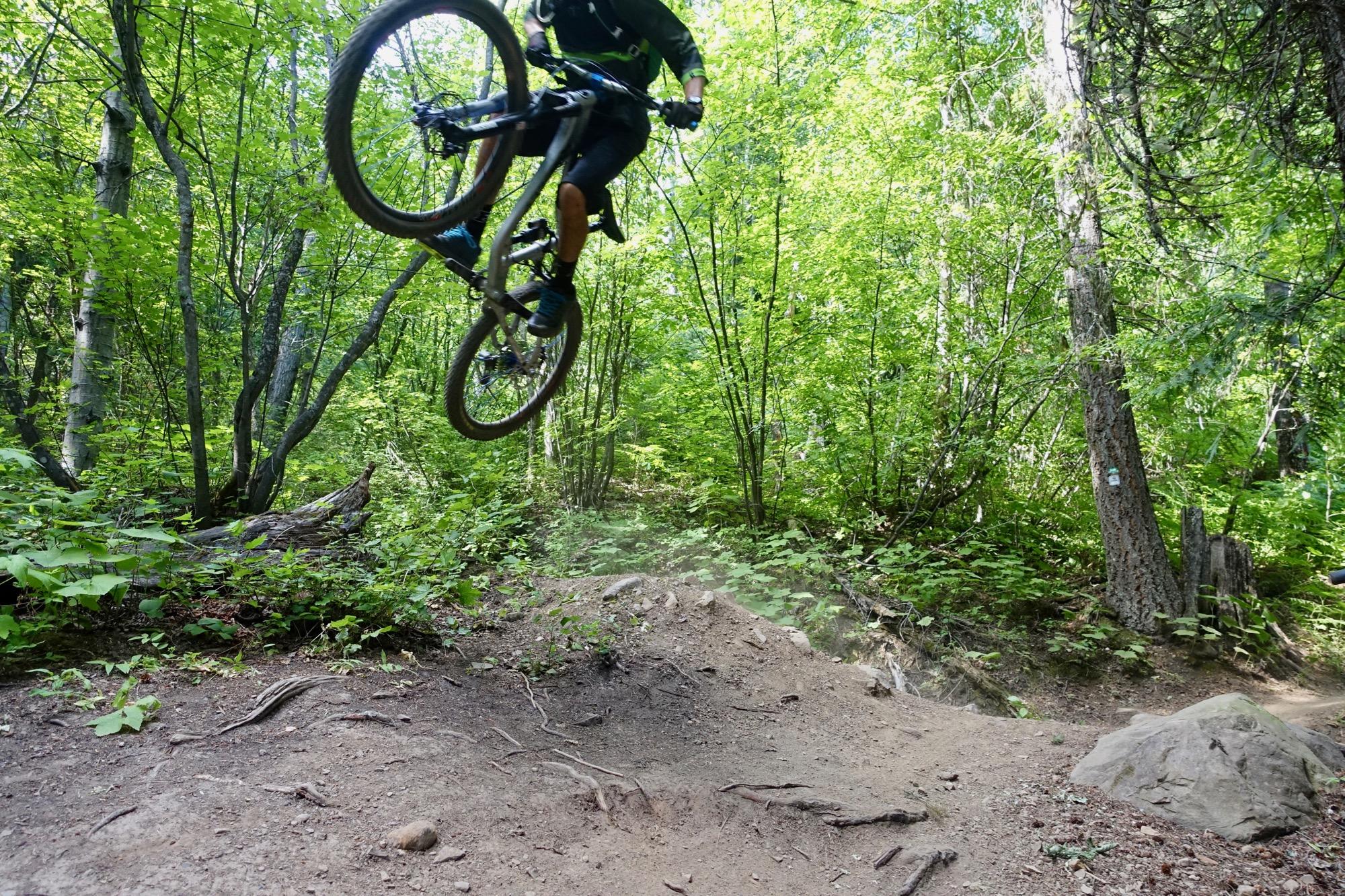  Swine Flu Loop mountain bike trail.