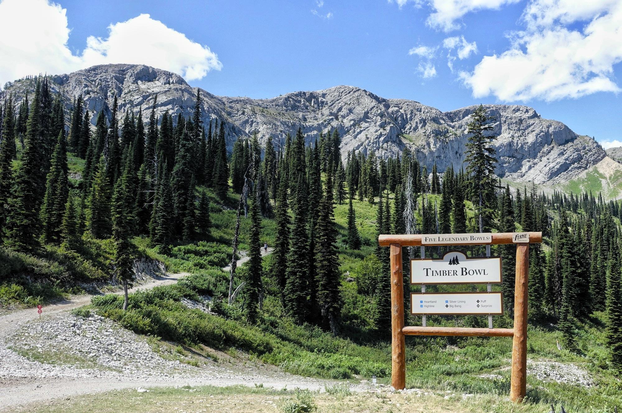 A scenic view of a mountainous landscape with a wooden sign that reads "Timber Bowl" in the foreground. The area is lush with green trees and shrubs, with a gravel path winding through the terrain. The towering mountains in the background are rocky and rugged, under a bright blue sky dotted with a few clouds. Rumplestumpskin mountain bike trail.