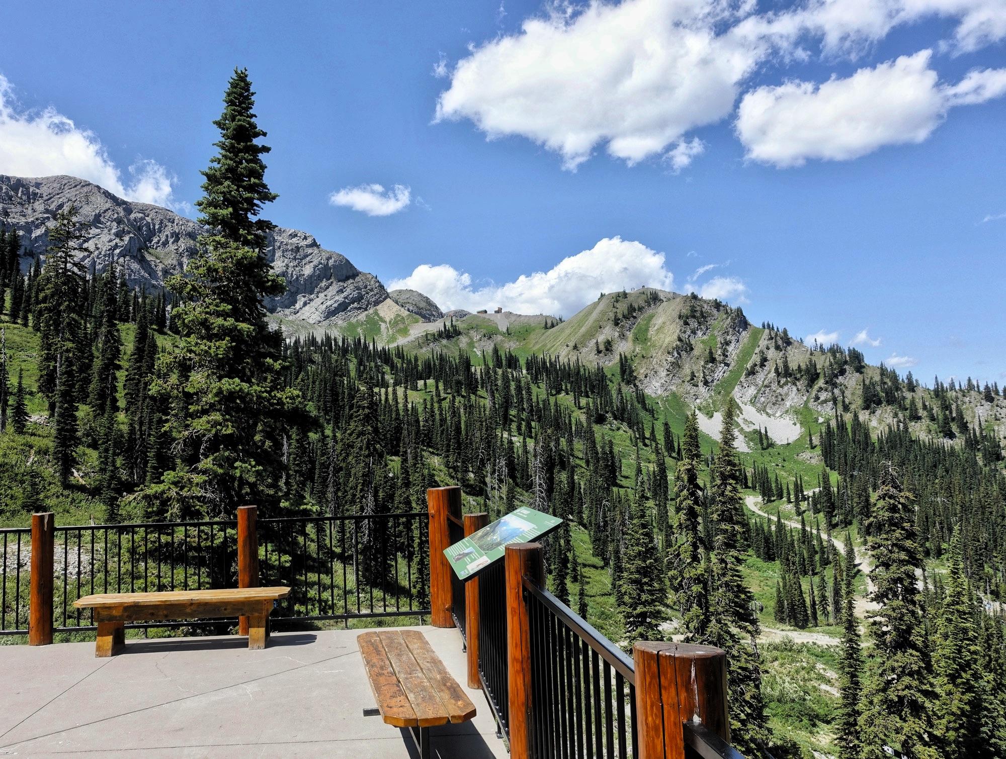 A scenic view from a viewpoint featuring lush green hills and rugged mountains under a blue sky with fluffy white clouds. In the foreground, there are wooden benches and a signboard. The area is surrounded by tall pine trees, creating a serene natural setting. Rumplestumpskin mountain bike trail.
